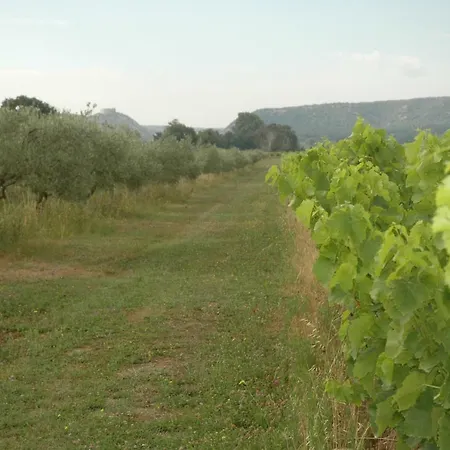 Domaine De Sevanes